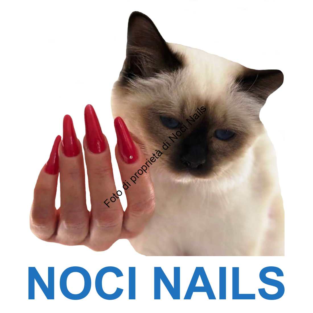 Noci Nails